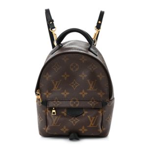 Louis Vuitton Monogram Palm Springs Backpack Mini