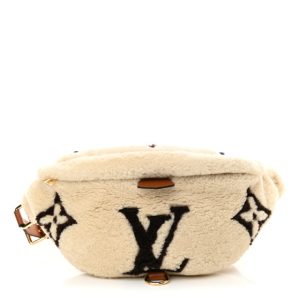 Louis Vuitton Monogram Teddy Bumbag