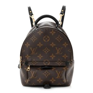 Louis Vuitton Monogram Palm Springs Backpack Mini