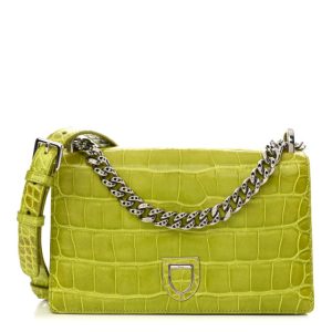 Christian Dior Crocodile Medium Diorama Flap Bag Green