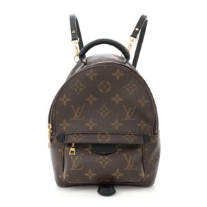 Louis Vuitton Monogram Palm Springs Backpack Mini