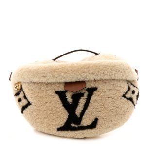 Louis Vuitton Monogram Teddy Bumbag