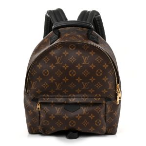 Louis Vuitton Monogram Palm Springs Backpack MM
