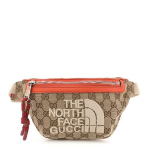 Gucci X THE NORTH FACE Monogram Textured Dollar Calfskin Embroidered Belt Bag Beige Ebony Mystic White Deep Orange
