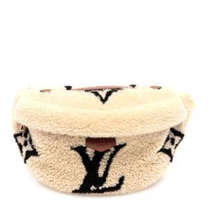 Louis Vuitton Monogram Teddy Bumbag