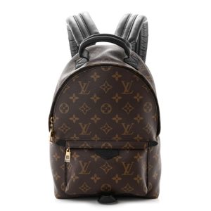 Louis Vuitton Monogram Palm Springs Backpack PM