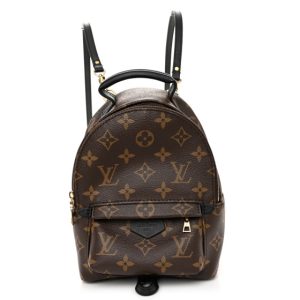 Louis Vuitton Monogram Palm Springs Backpack Mini
