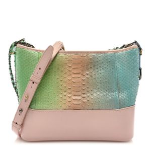 Chanel Snakeskin Medium Gabrielle Hobo Multicolor